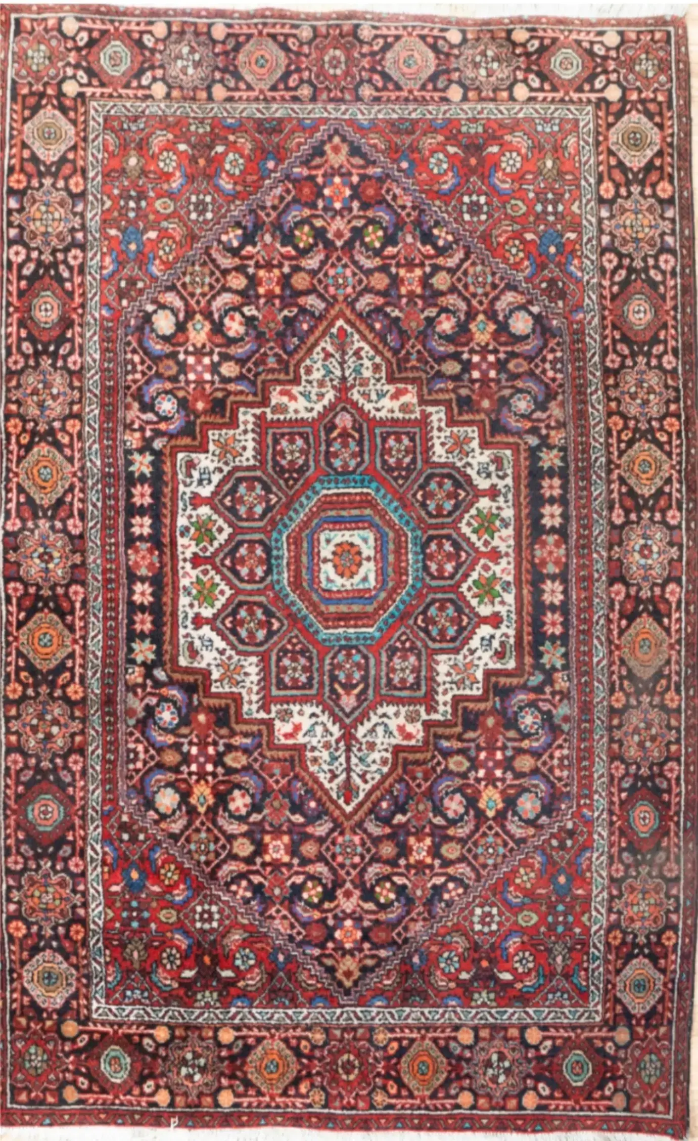 Bidjar Wool Rug 3.0x5.0